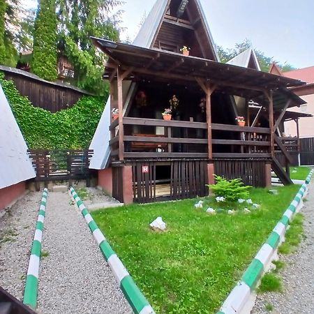 Chalet A Frame Sinaia Синая Экстерьер фото