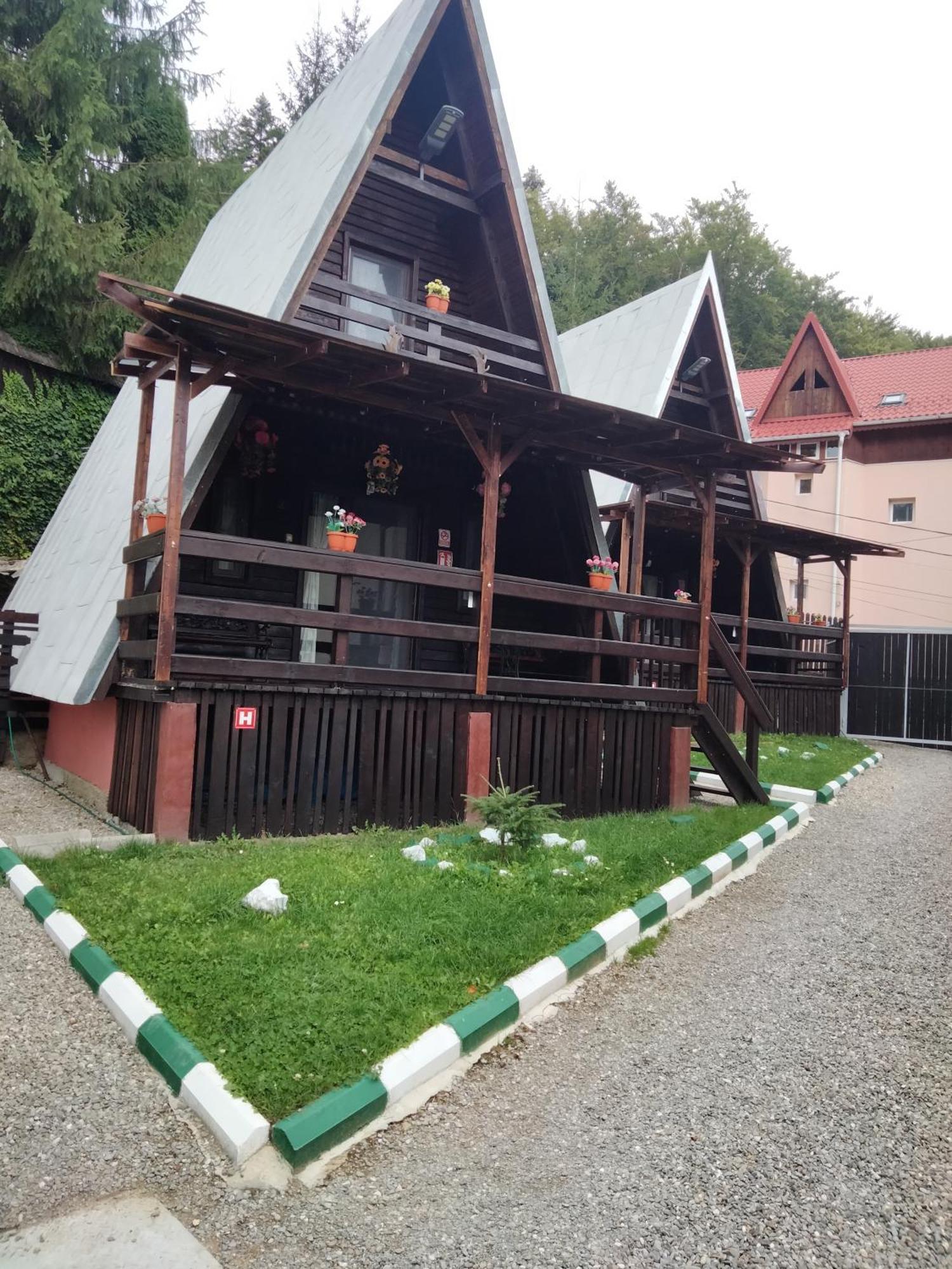 Cabane A Sinaia Синая Экстерьер фото