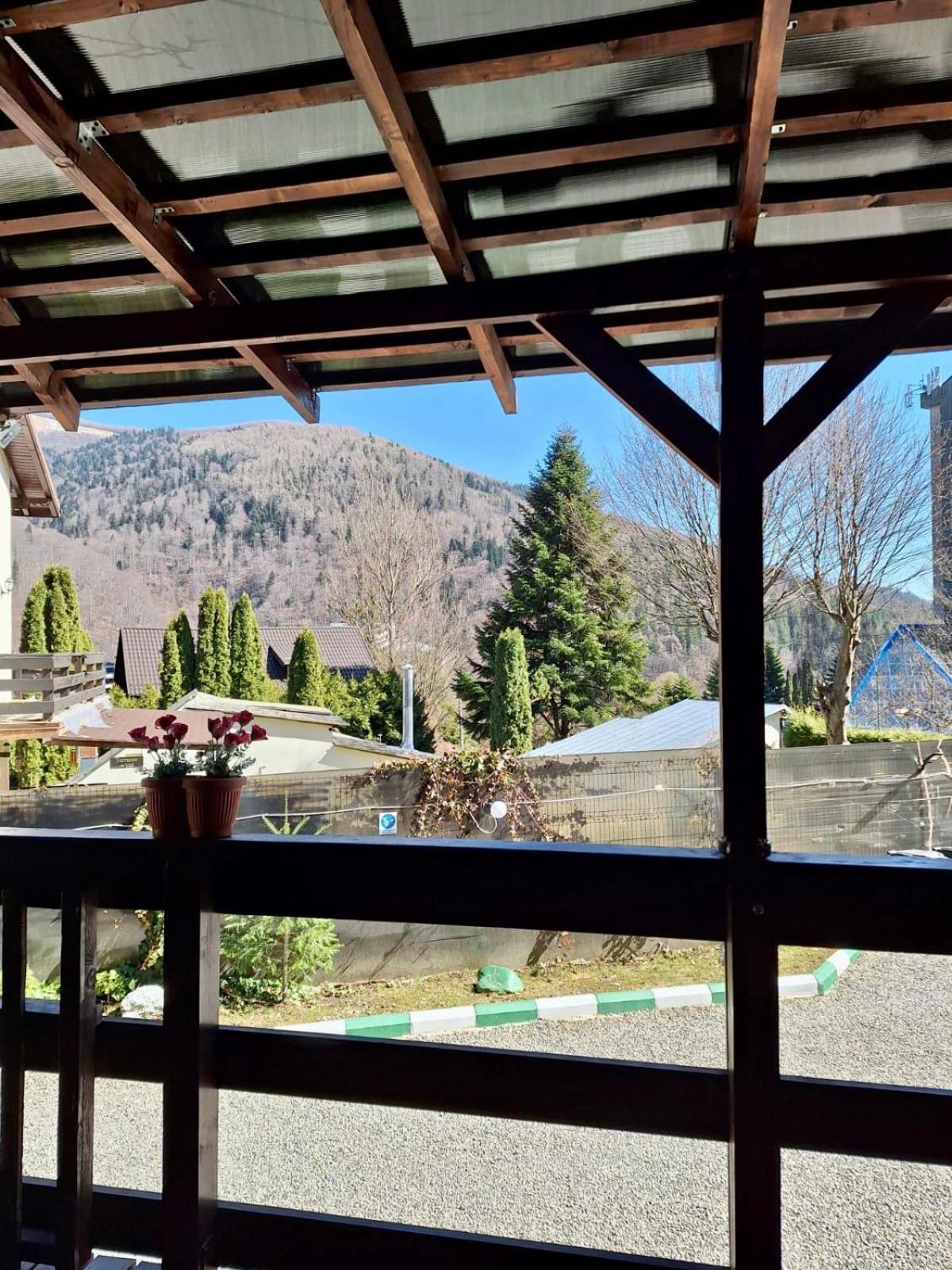 Cabane A Sinaia Синая Экстерьер фото