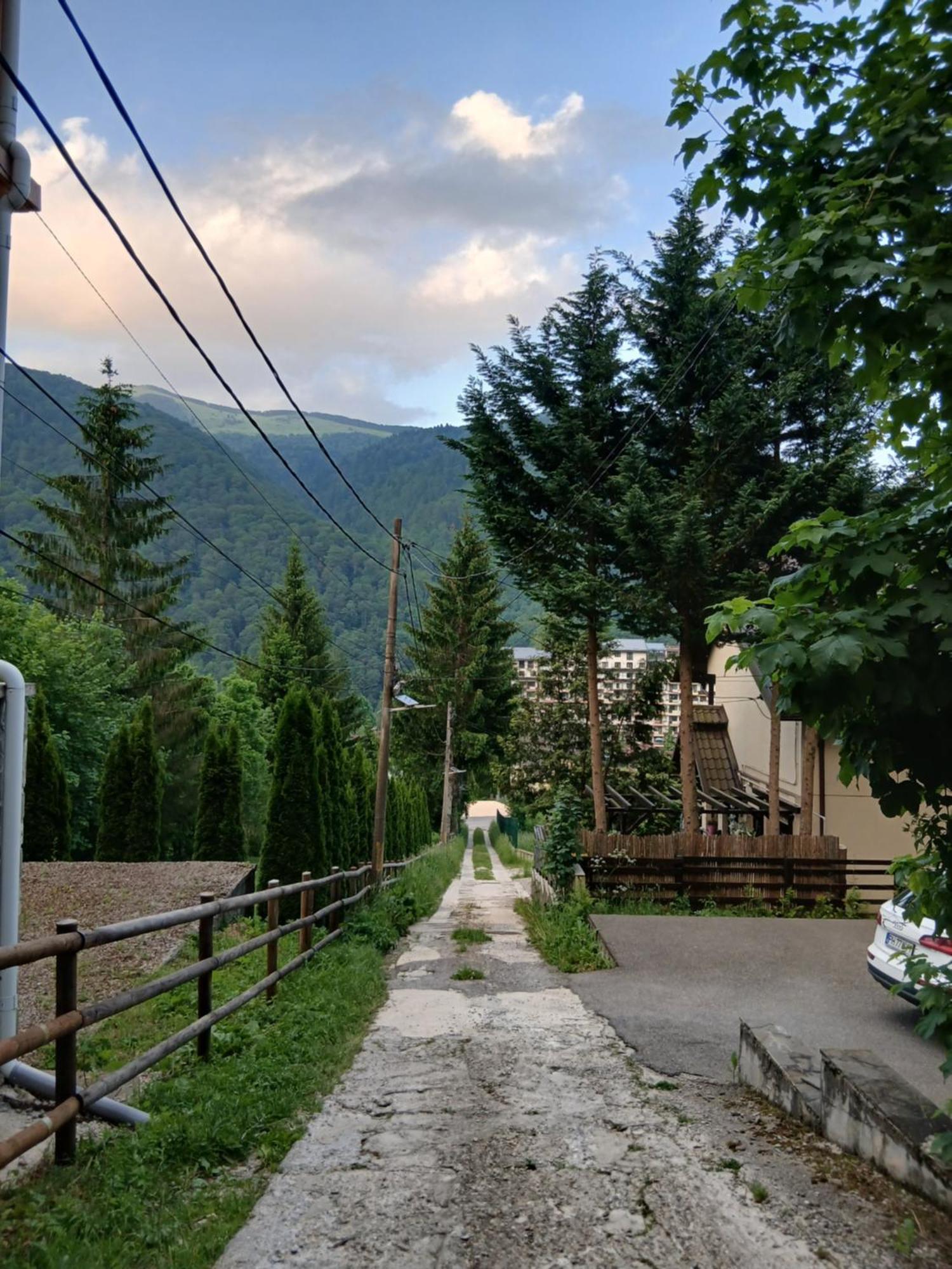 Cabane A Sinaia Синая Экстерьер фото